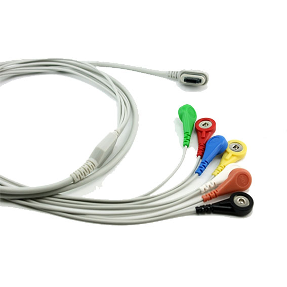 Holter cables